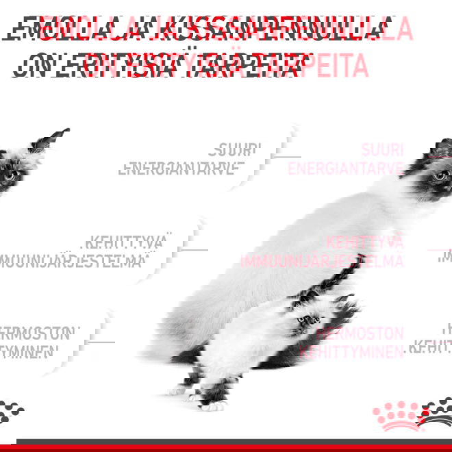 Royal Canin Mother & Babycat kissan ja kissanpennun kuivaruoka