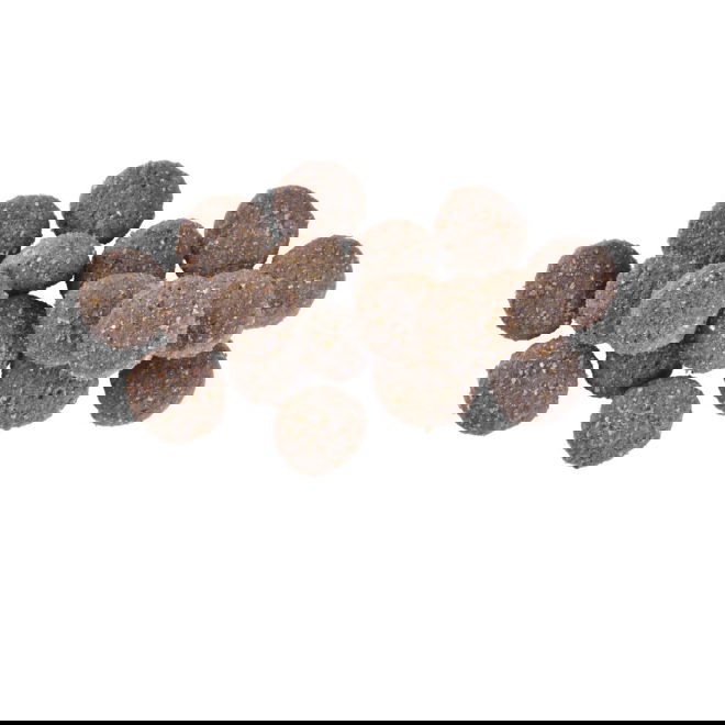 Brit Care Dog Hypoallergenic Dog Show Champion (12 kg)