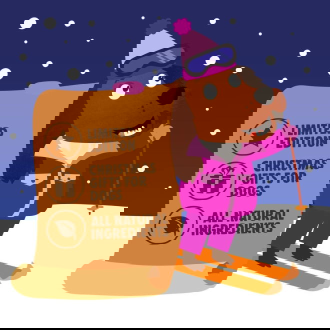 Denzels Joulukalenteri koiralle 192g