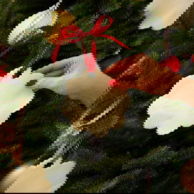 RAUH! Jouluinen purupipari koiralle