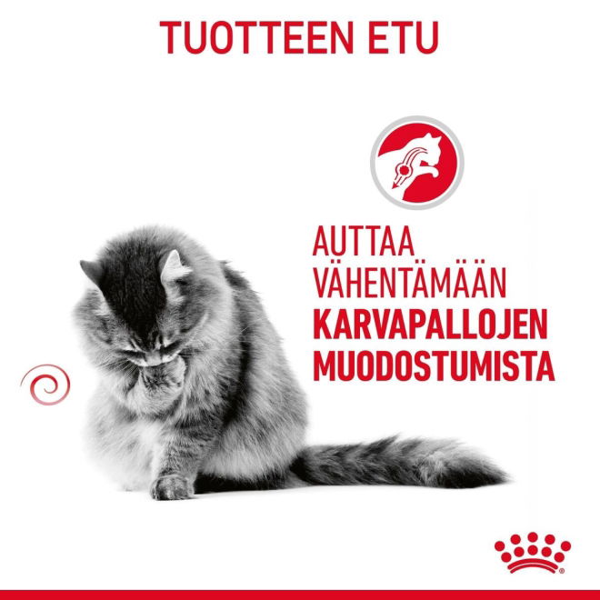 Royal Canin Hairball Care Adult kissan kuivaruoka