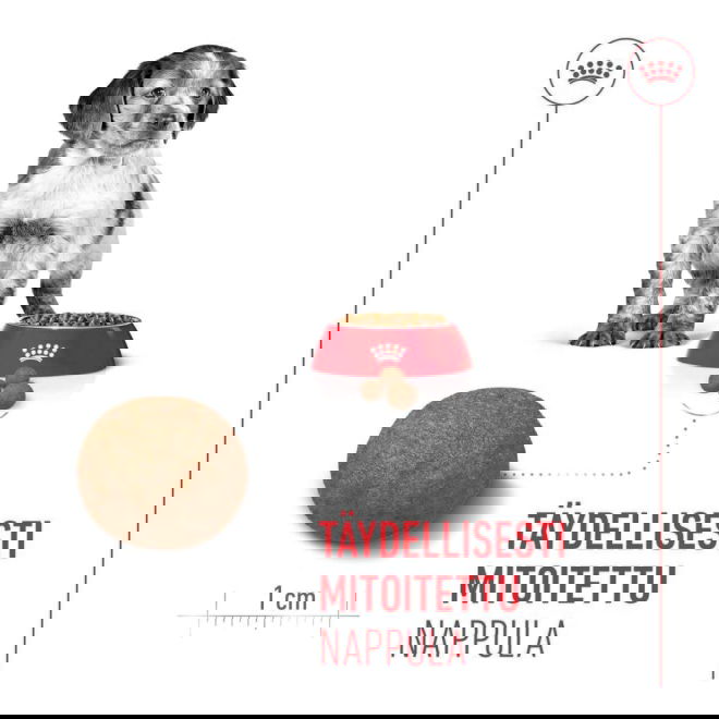 Royal Canin Medium Puppy koiranpennun kuivaruoka