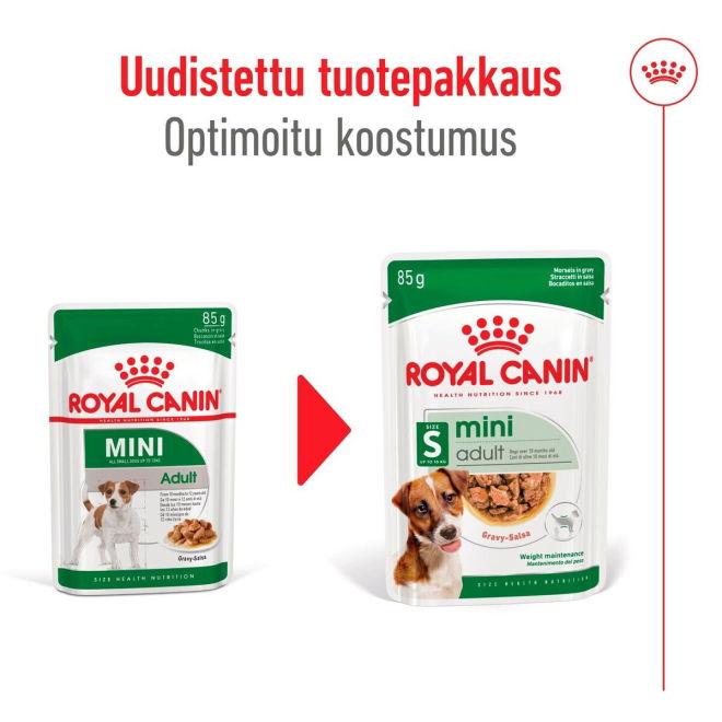 Royal Canin Mini Adult Gravy koiran märkäruoka 12 x 85 g