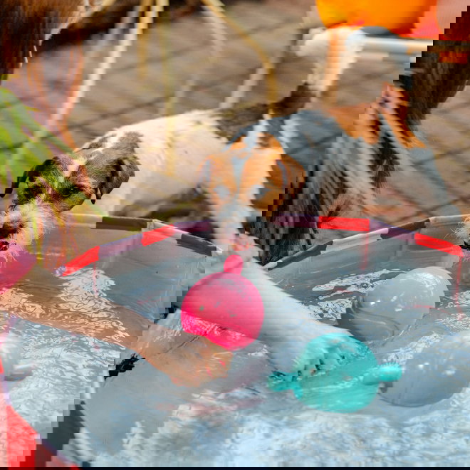 Little&Bigger Hot Summer TPR kahvapallo