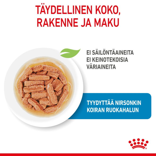 Royal Canin Medium Puppy Gravy koiranpennun märkäruoka 10x140g