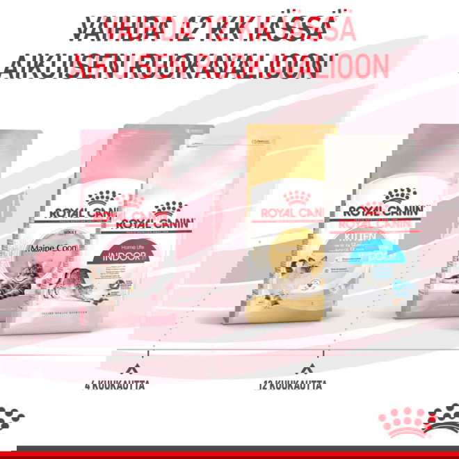 Royal Canin Kitten kissanpennun kuivaruoka