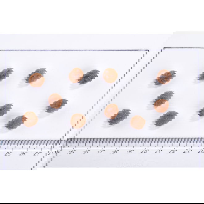 Brit Care Cat Grain-Free Sterilized Immunity Support (2 kg)