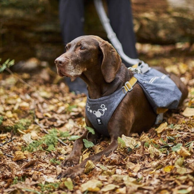 Hurtta Expedition Pack -valjas ECO, harmaa