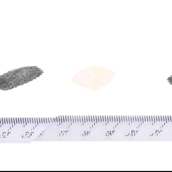 Brit Care Dog Sustainable Activity (12 kg)