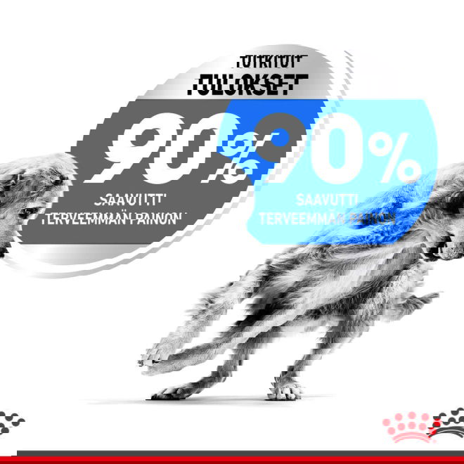 Royal Canin Light weight Care Maxi Adult koiran kuivaruoka