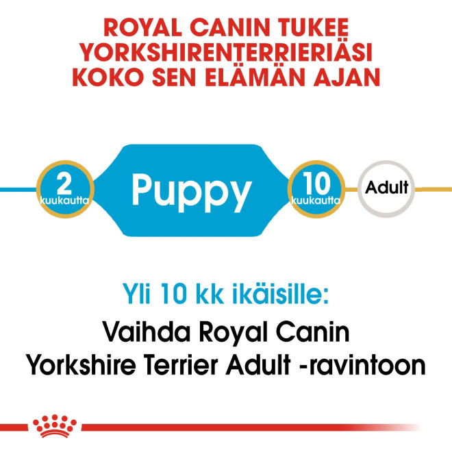 Royal Canin Yorkshire Terrier Puppy