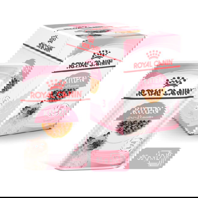 Royal Canin Kitten Gravy kissanpennun märkäruoka 12x85 g