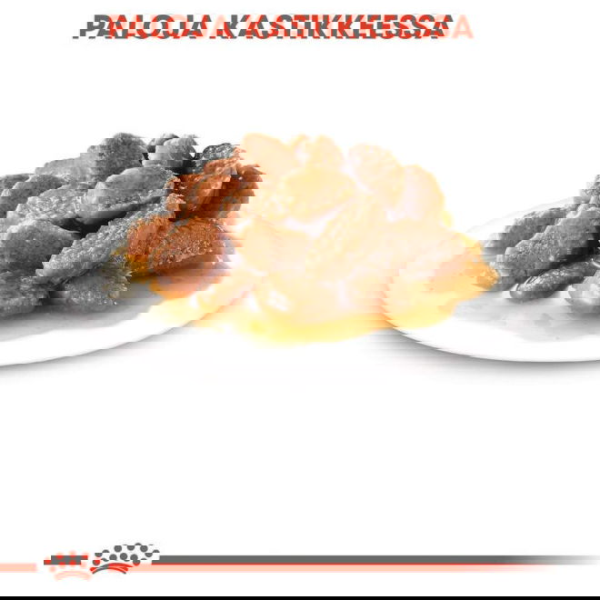 Royal Canin Sterilised Gravy Adult kissan märkäruoka