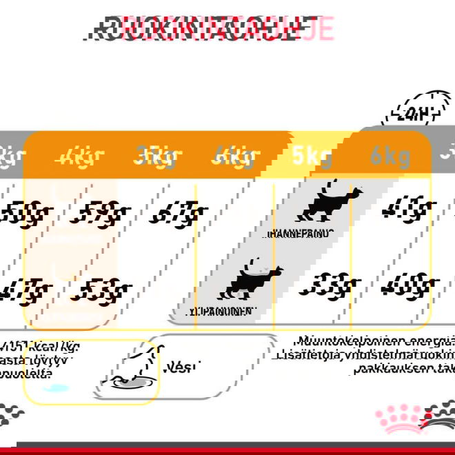 Royal Canin Hair & Skin Care Adult kissan kuivaruoka