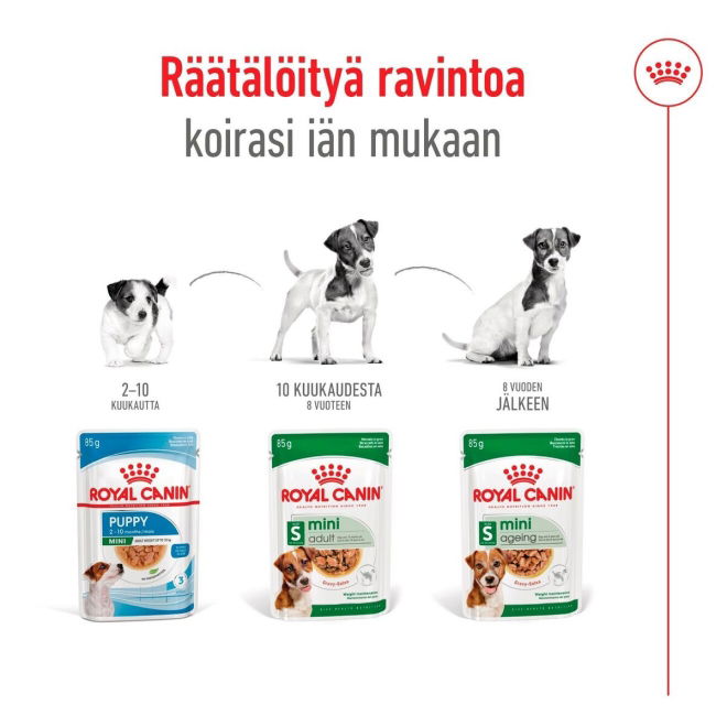 Royal Canin Mini Adult Gravy koiran märkäruoka 12 x 85 g