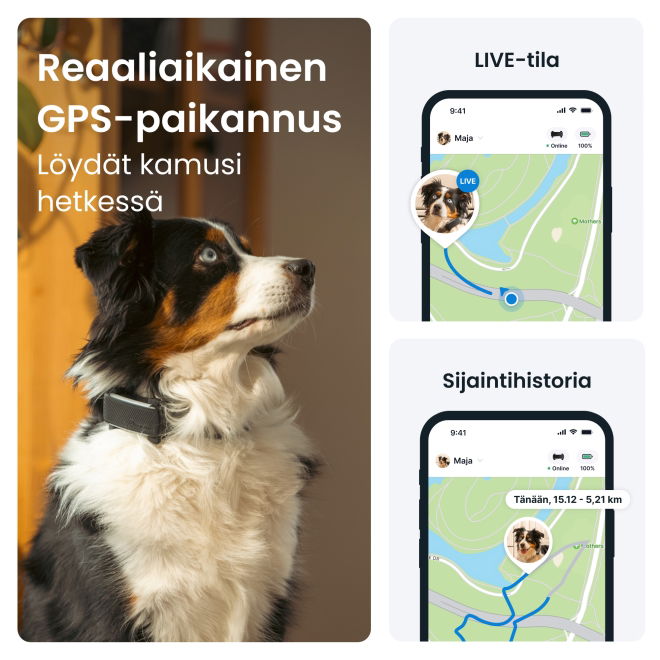 Tractive DOG 6 koiran paikannuslaite