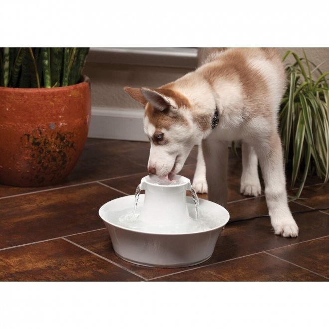 Petsafe Drinkwell Avalon keraaminen juomalähde