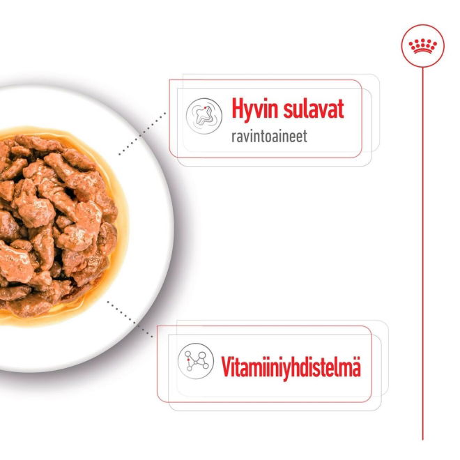 Royal Canin Mini Adult Gravy koiran märkäruoka 12 x 85 g