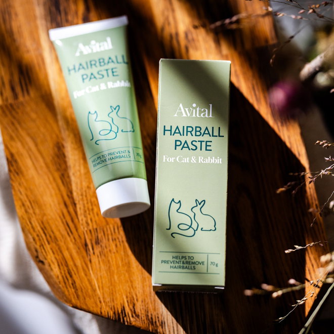 Avital Hairball Paste 70 g