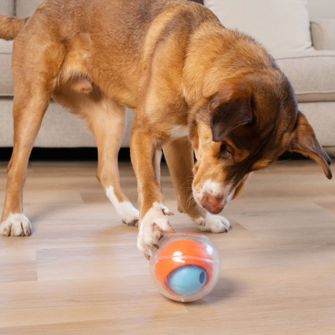 Nina Ottosson Topsy Treatball aktivointilelu