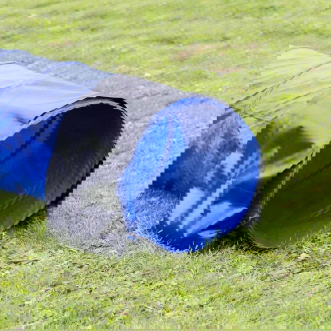 Trixie Agility painopussit tunneliin