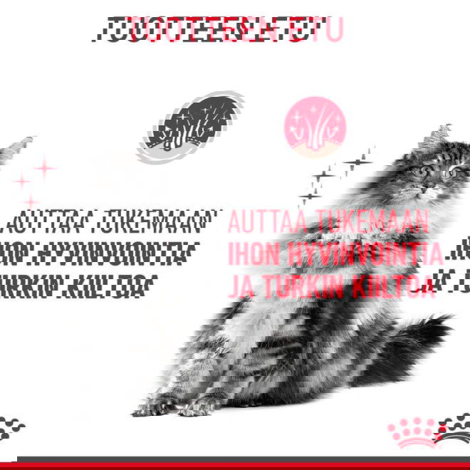 Royal Canin Hair & Skin Care Jelly Adult kissan märkäruoka