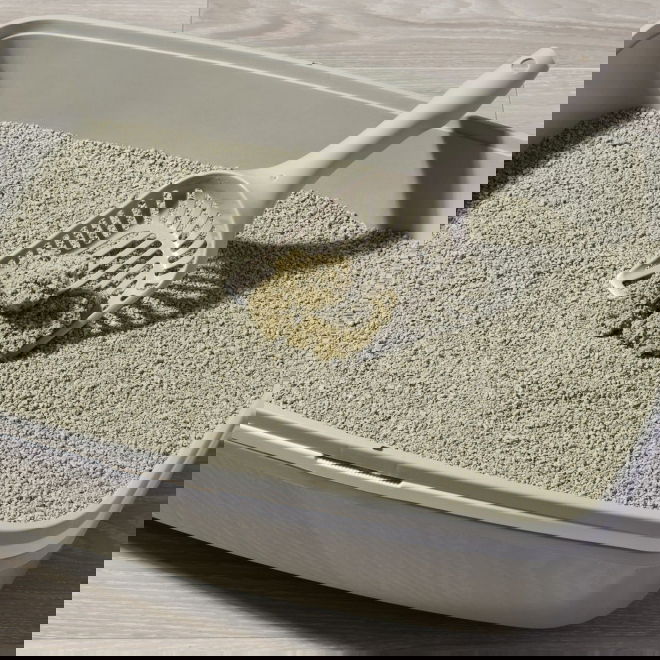 Smily Cat Litter Less Track kissanhiekka