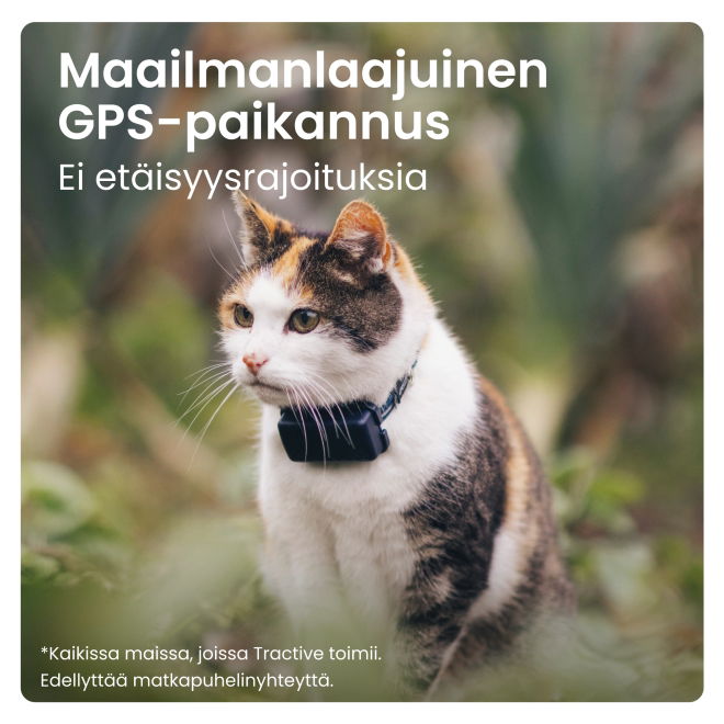 Tractive CAT Mini – kissan GPS ja terveysvahti