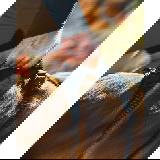 Ruffwear Ridgeline Valjaat, musta