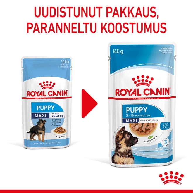 Royal Canin Maxi Puppy Gravy koiranpennun märkäruoka 10x140g