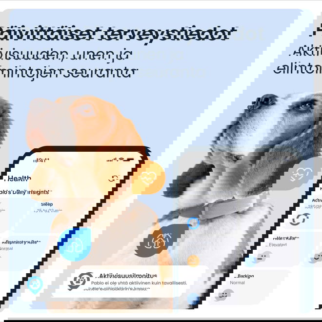 Tractive DOG 6 koira-GPS + terveysvahti &ndash; ruskea