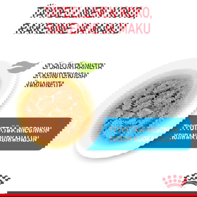 Royal Canin Mini Puppy koiranpennun m&auml;rk&auml;ruoka 12x85g
