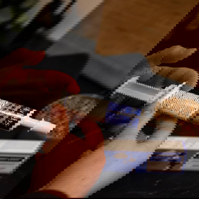 Bellylabs Revive energiatahna koirille 30 ml