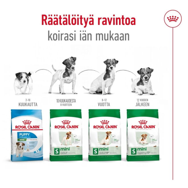 Royal Canin Mini Adult 8+ koiran kuivaruoka