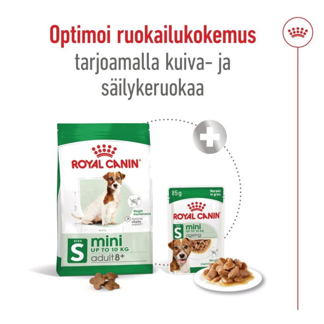 Royal Canin Mini Adult 8+ koiran kuivaruoka