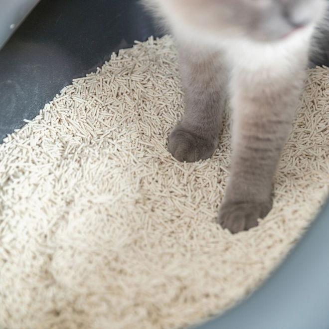 Trixie Tofu clumping cat litter (4,5 kg)