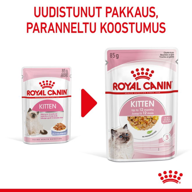 Royal Canin Kitten Jelly kissanpennun märkäruoka 12x85 g