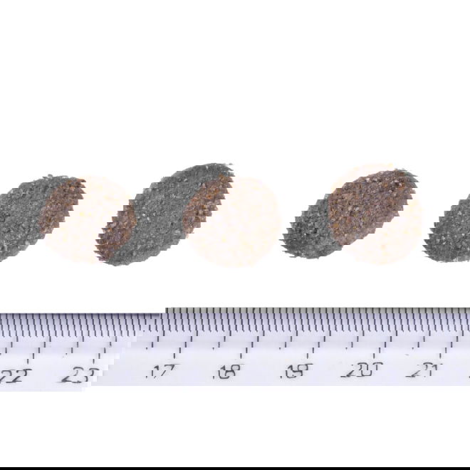 Brit Care Dog Hypoallergenic Dog Show Champion (12 kg)