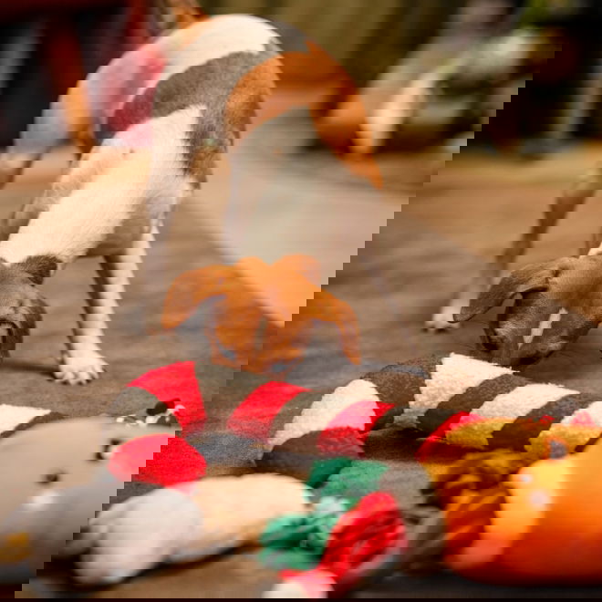 Little&Bigger Xmas Stories XL iloinen porkkana köydellä