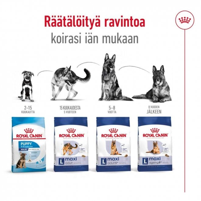 Royal Canin Maxi Adult koiran kuivaruoka