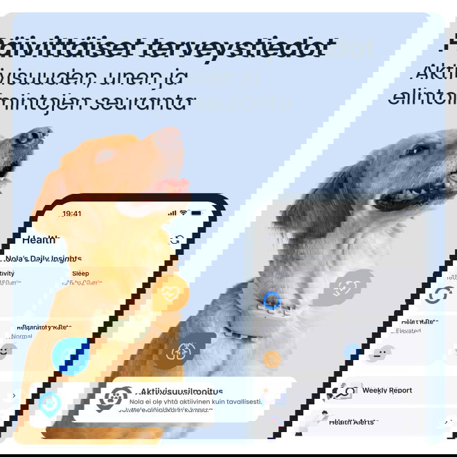 Tractive DOG XL &ndash; &auml;lyk&auml;s koira-GPS + terveysvahti