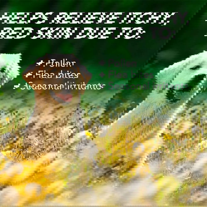 Vets Best Allergy itch spray 250ml