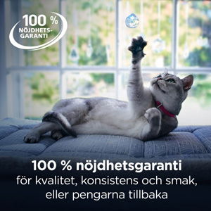 Hills Diet Cat Gastrointestinal Biome 82 g