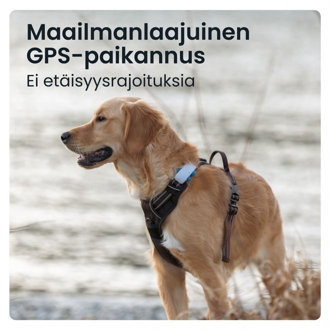 Tractive koiran GPS-paikannin
