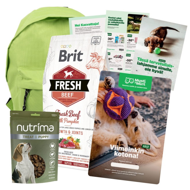 Pentupaketti + Brit Fresh Beef&Pumpkin Puppy Large 2,5kg