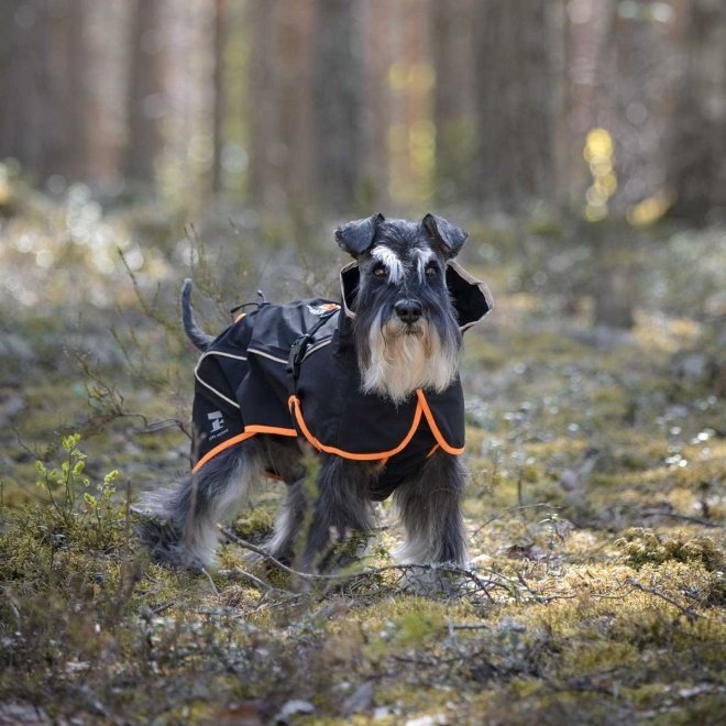 Feel Active Kiruna koiran sadetakki musta