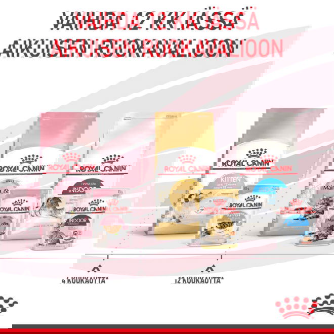 Royal Canin Kitten Gravy kissanpennun märkäruoka 12x85 g
