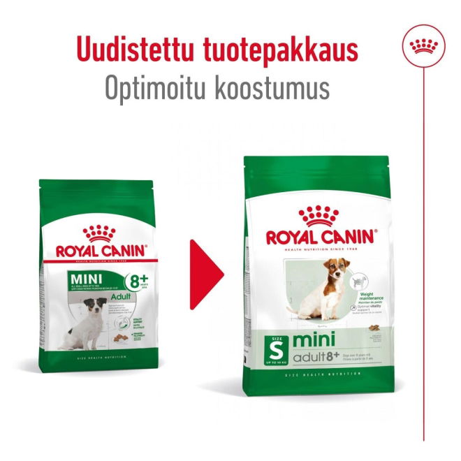 Royal Canin Mini Adult 8+ koiran kuivaruoka