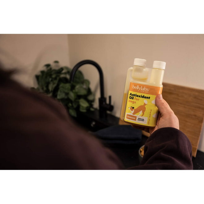 Bellylabs Antioxidantti&ouml;ljy 250 ml