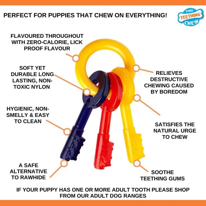 Nylabone Puppy Teething Keys S